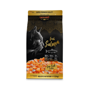 Fresh Salmon
