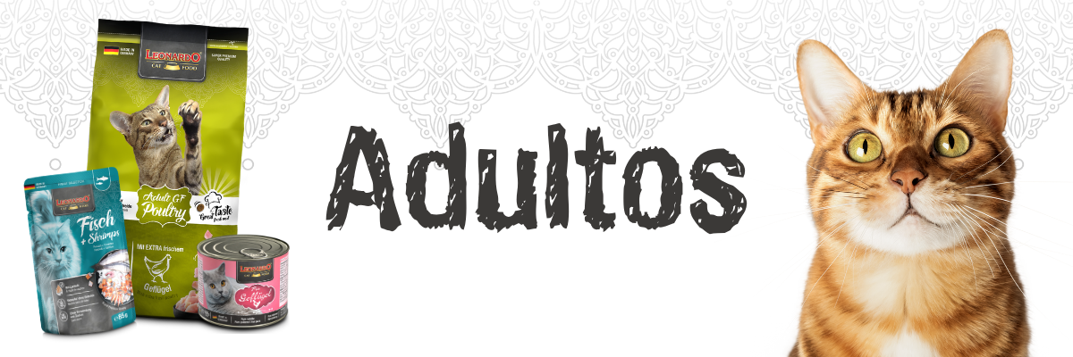 Category Banner