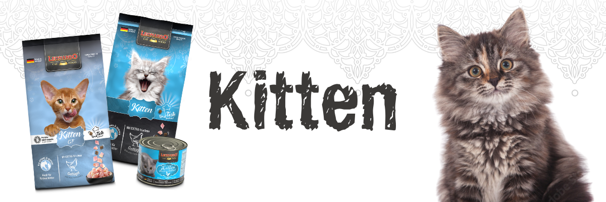 Category Banner